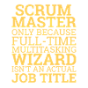 « Scrum Master » | Scrum Master