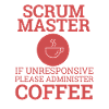 « Scrum Master » | Scrum Master