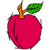 Plum Fruit Fruit