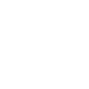 CEO - Chief Executive Officer