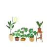 Gardener Plants