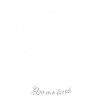 Champignons magiques Galaxy
