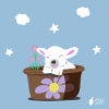 lamb