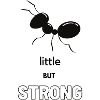 Little but strong ant