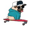 Funny Pug Skateboarding