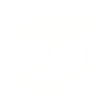 The Skull