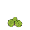 Sex, Drugs & Brussels sprouts