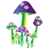 Psychedelic Mushrooms