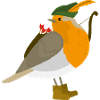 Robin Hood Robin Colorato