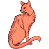 Funny cats 23