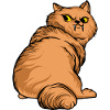 Funny cats 24