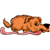 Funny dogs 10