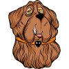 Funny dogs 15