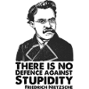 Friedrich Nietzsche Tshirt Stupidity Defence