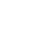 Wing chun Wingtsun