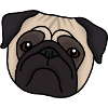 Mops
