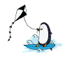 Penguin at Kite Surfing