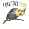 cockatiel
