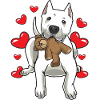 Dogo Argentino avec peluche