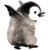 Baby Penguins