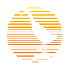 Running Running Ducks Gift