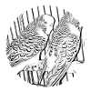 budgies