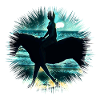 ride