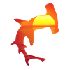 hammerhead