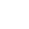 Megalodon Time