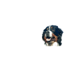 Bernese Mountain Dog