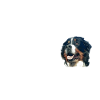 Bernese Mountain Dog