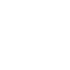 Vegvisir