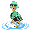 Duck funny cool