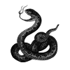 Japanese Snake