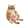 Lazy Cat Funny - Serial Chiller