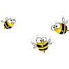 bee group