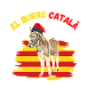 Ane Catalan