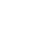 Eléphant / Portrait / Graphique