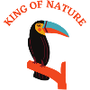 Toucan bird