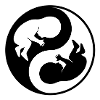Yin Yang fetus babies
