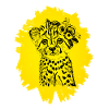 cheetah