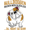 Englische Bulldogge