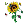 Blumen Geschenk Schmetterling Sonnenblume