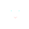 White Tiger