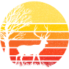 deer and sunset - nature