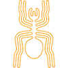 Nazca Spider
