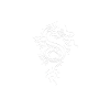 Dragon Dragon shirt