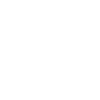 Kelpie Dog - Kelpie