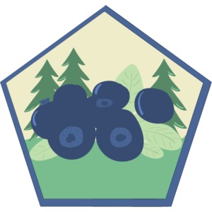 The blueberry forest