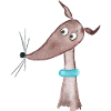 Small greyhound